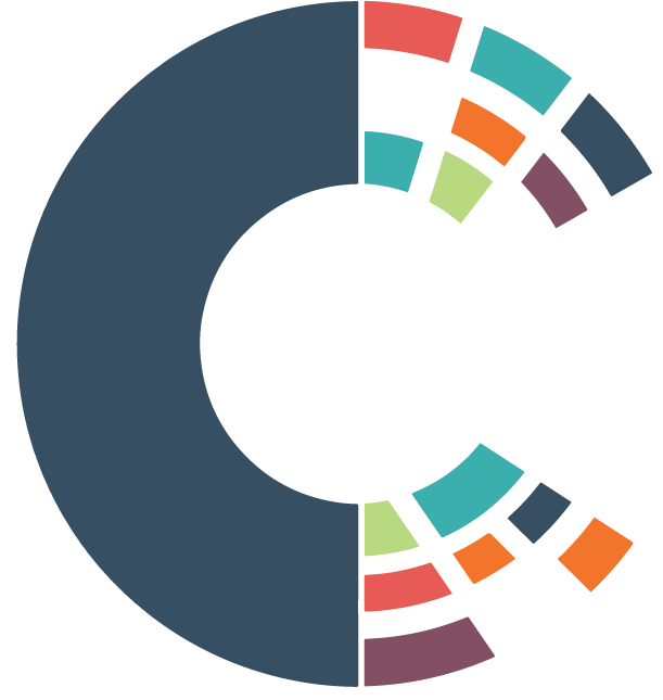 Cyber Scheme Team Member